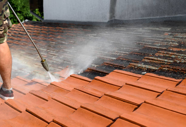 Best Commercial Building Pressure Washing  in Buchanan, MI