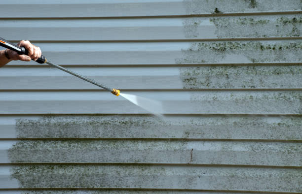 Best Roof Pressure Washing  in Buchanan, MI