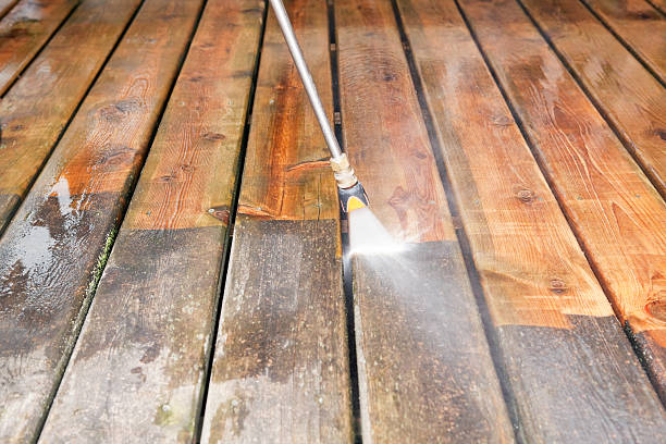 Best Sidewalk Pressure Washing  in Buchanan, MI